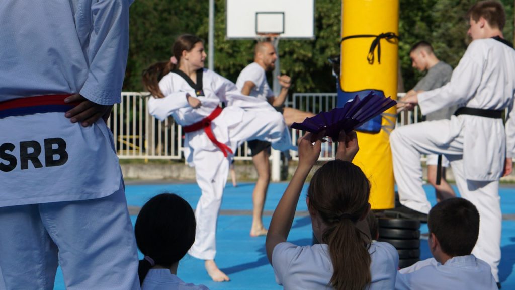 Tekvondo Porodični Izazov 2022